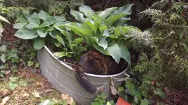 DSCF2837.webp