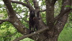 DSCF2818.JPG