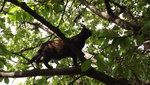DSCF2823.JPG