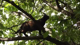 DSCF2823.webp