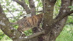 DSCF2830.JPG