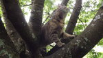 DSCF2831.JPG