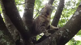 DSCF2831.webp