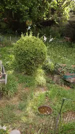 DSCF2765.webp