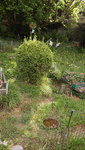 DSCF2765.JPG
