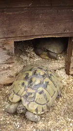 DSCF2840.webp