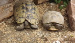 DSCF2841.JPG