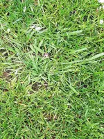 IMG_20190502_085042.webp