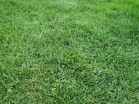 20200502_163842.webp