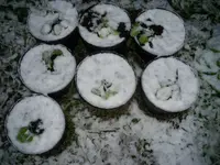 schnee1.webp