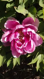 DSCF2747.webp