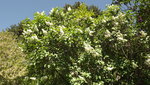 DSCF2748.JPG