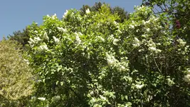 DSCF2748.webp