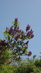 DSCF2749.JPG