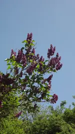 DSCF2749.webp