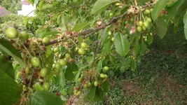 DSCF2817.webp