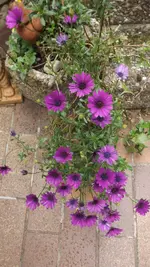DSCF2839.webp