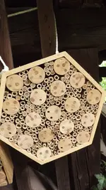 DSCF2767.webp