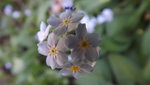 DSCF2733.JPG