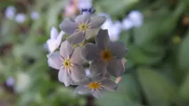 DSCF2733.webp
