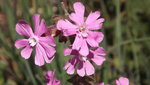DSCF2743.JPG