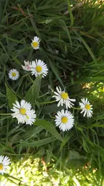 DSCF2758.webp