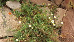 DSCF2797.JPG