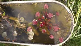 DSCF2776.webp