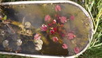DSCF2776.JPG