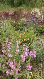 DSCF2789.webp