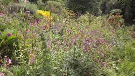DSCF2808.webp
