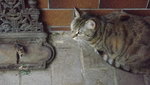 DSCF2847.JPG