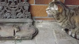 DSCF2848.webp