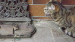 DSCF2848.JPG