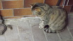 DSCF2849.JPG