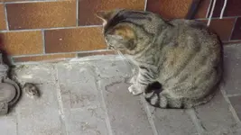 DSCF2849.webp