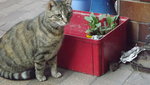DSCF2850.JPG