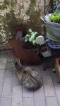 DSCF2851.JPG