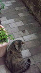 DSCF2852.JPG