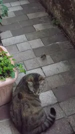 DSCF2852.webp