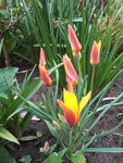 20200501_103347.jpg