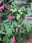 20200429_184028.jpg