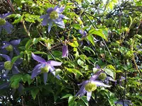 DSCF3488 (2).webp