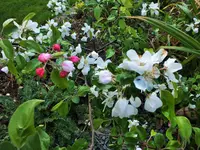 DSCF3508 (2).webp
