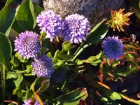 DSCF3526.webp