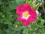 IMG_3473.JPG