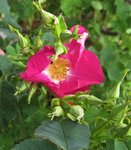 IMG_3475.JPG