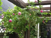 IMG_3477.JPG