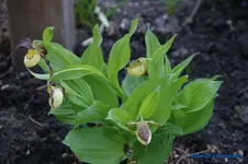 comp_DSC08878.webp