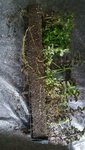 IMG_20200504_154940.jpg